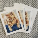 sample note card set (copy)